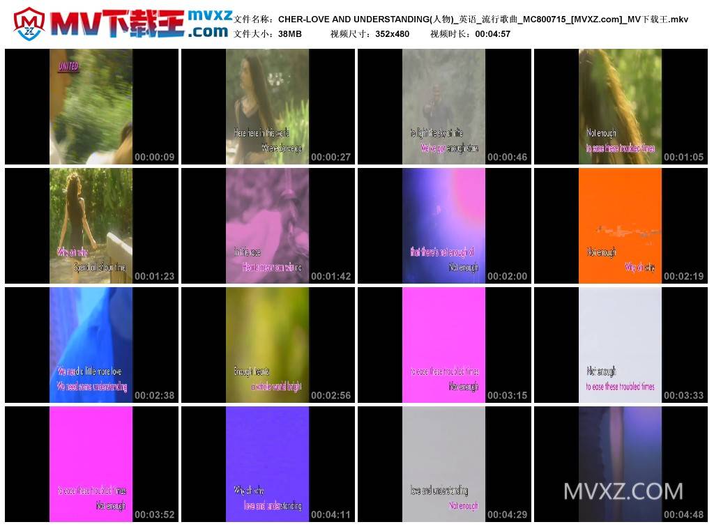 CHER-LOVE AND UNDERSTANDING(人物)_英语_流行歌曲_MC800715